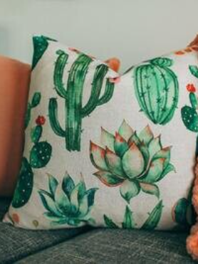 Watercolour Cacti Pillow $7.00