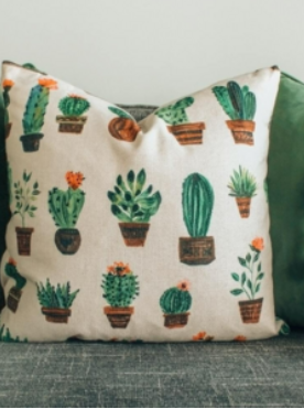 Watercolour Cacti Pillow $10.00
